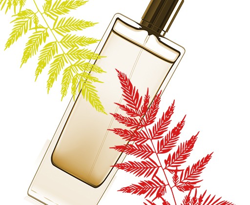 Kis Organic Perfumes coming soon